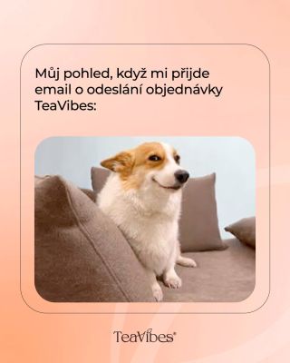 Ten pocit, když víš, že osvěžení je už na cestě. 😎📦 TeaVibes incoming… and that means the vibe is almost delivered. 💚...