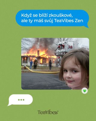 Známe, že? 🎓 🏷️ Tagni do komentáře kámoše, co vždycky proleze bez učení! #teavibes
